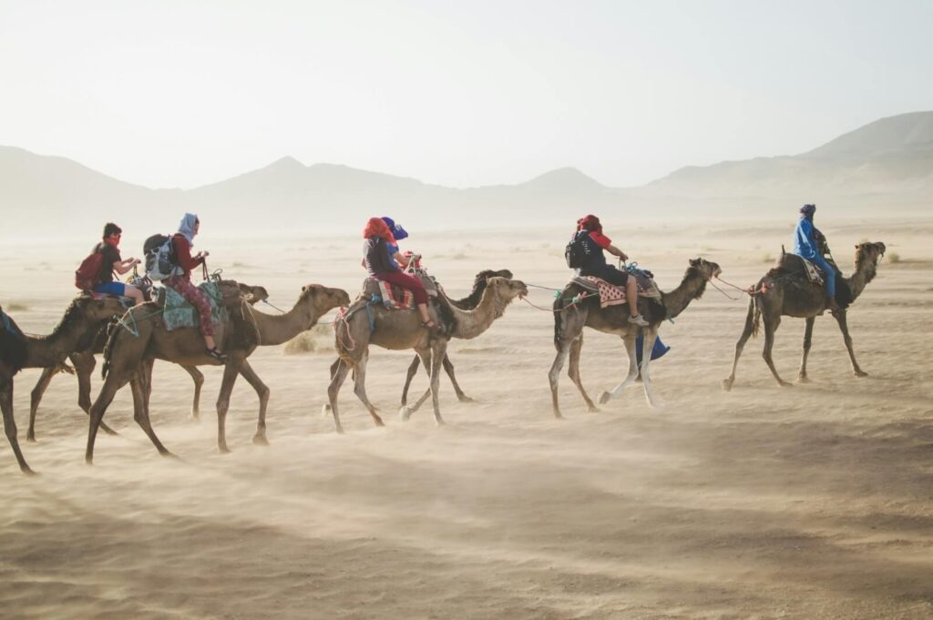 group traveling in desert