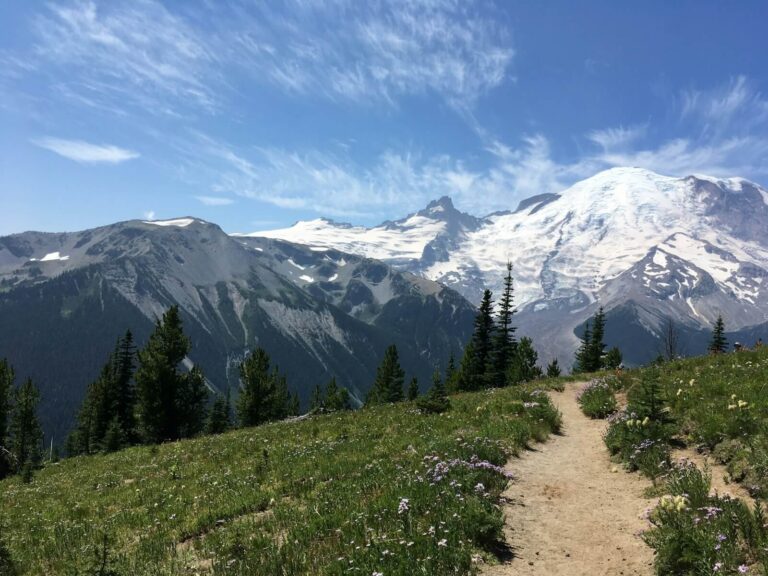 Best National Parks Washington State Has to Offer