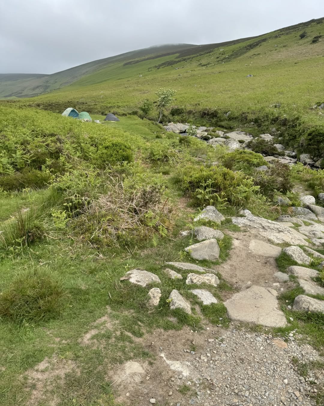 Wicklow Mountains
