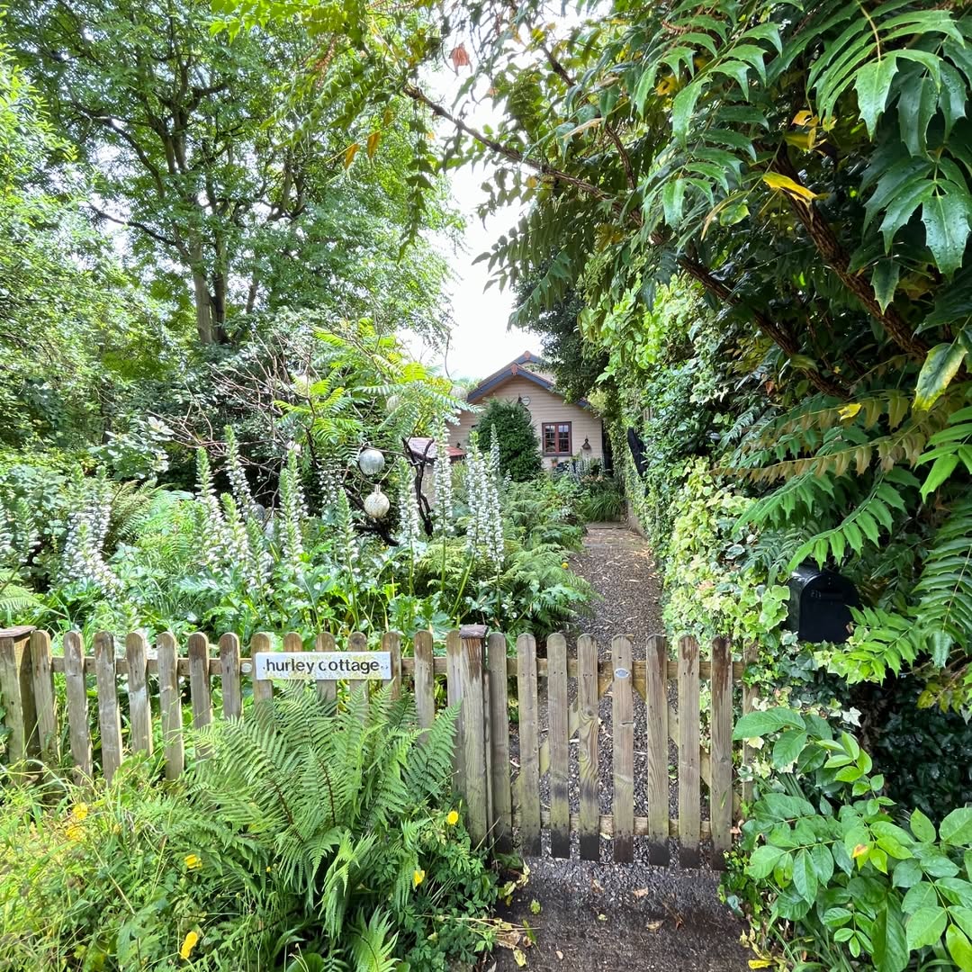 Eel Pie Island