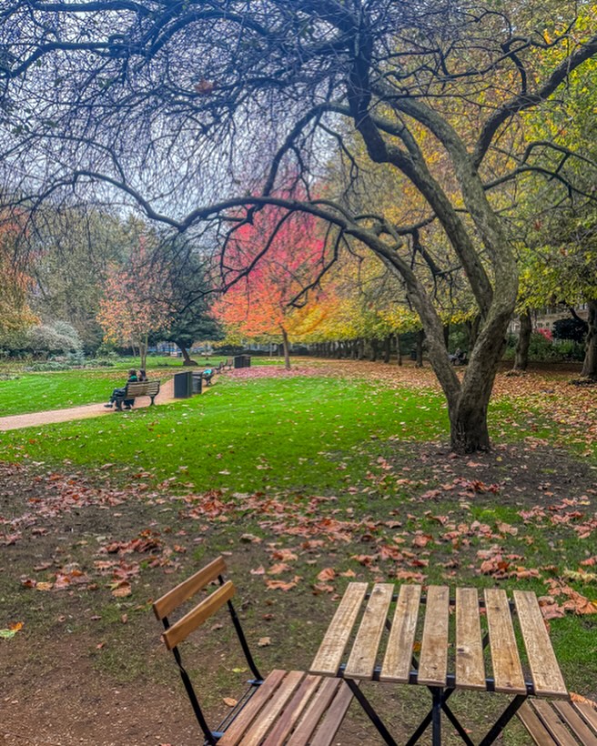 Bloomsbury London during Fall