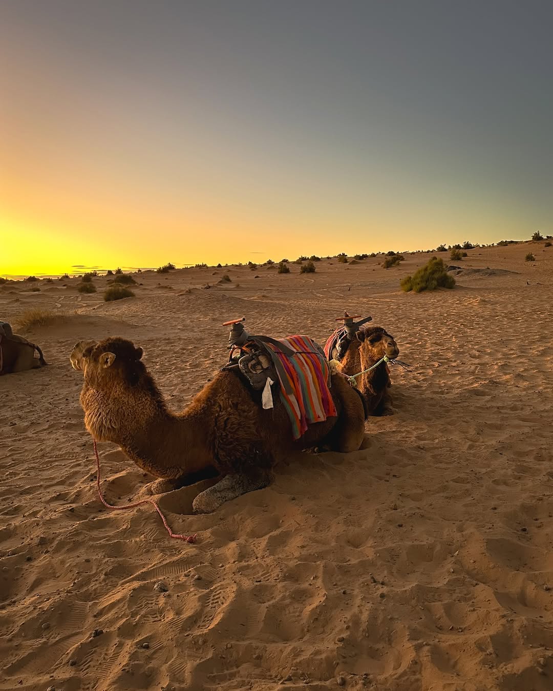 Erg Chebbi, Morocco