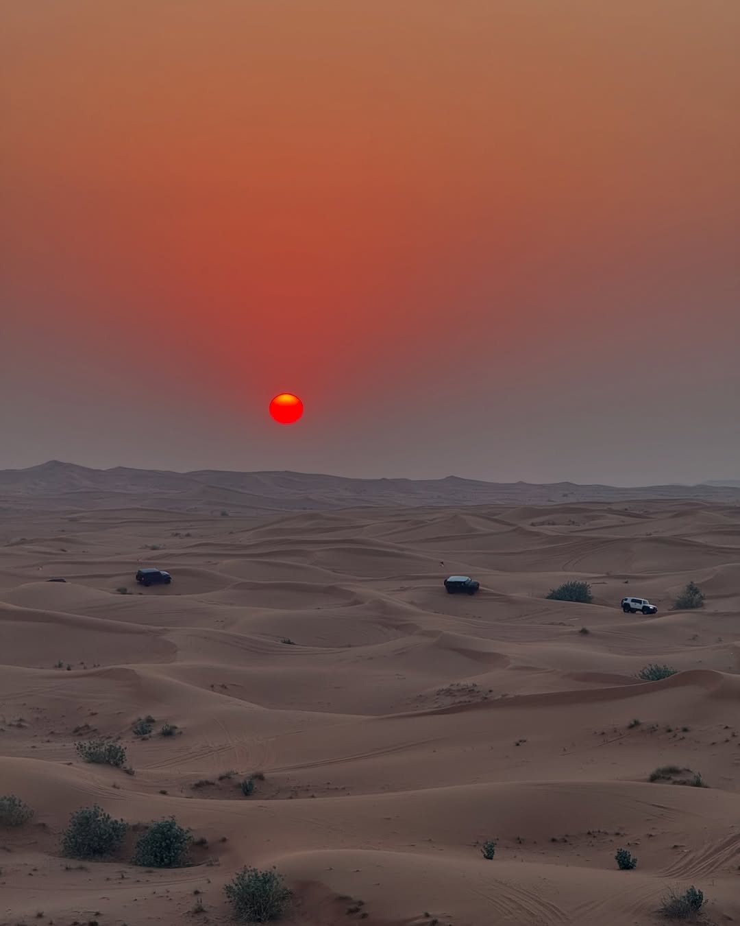 Dubai desert safari
