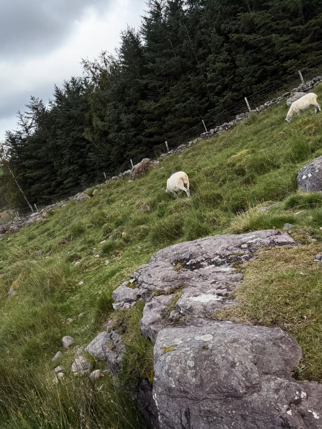 Ring of Kerry
