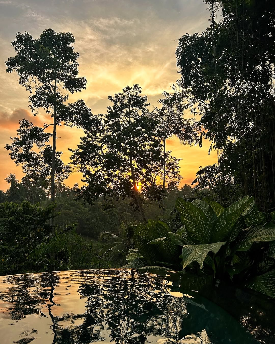 Ubud sunsets