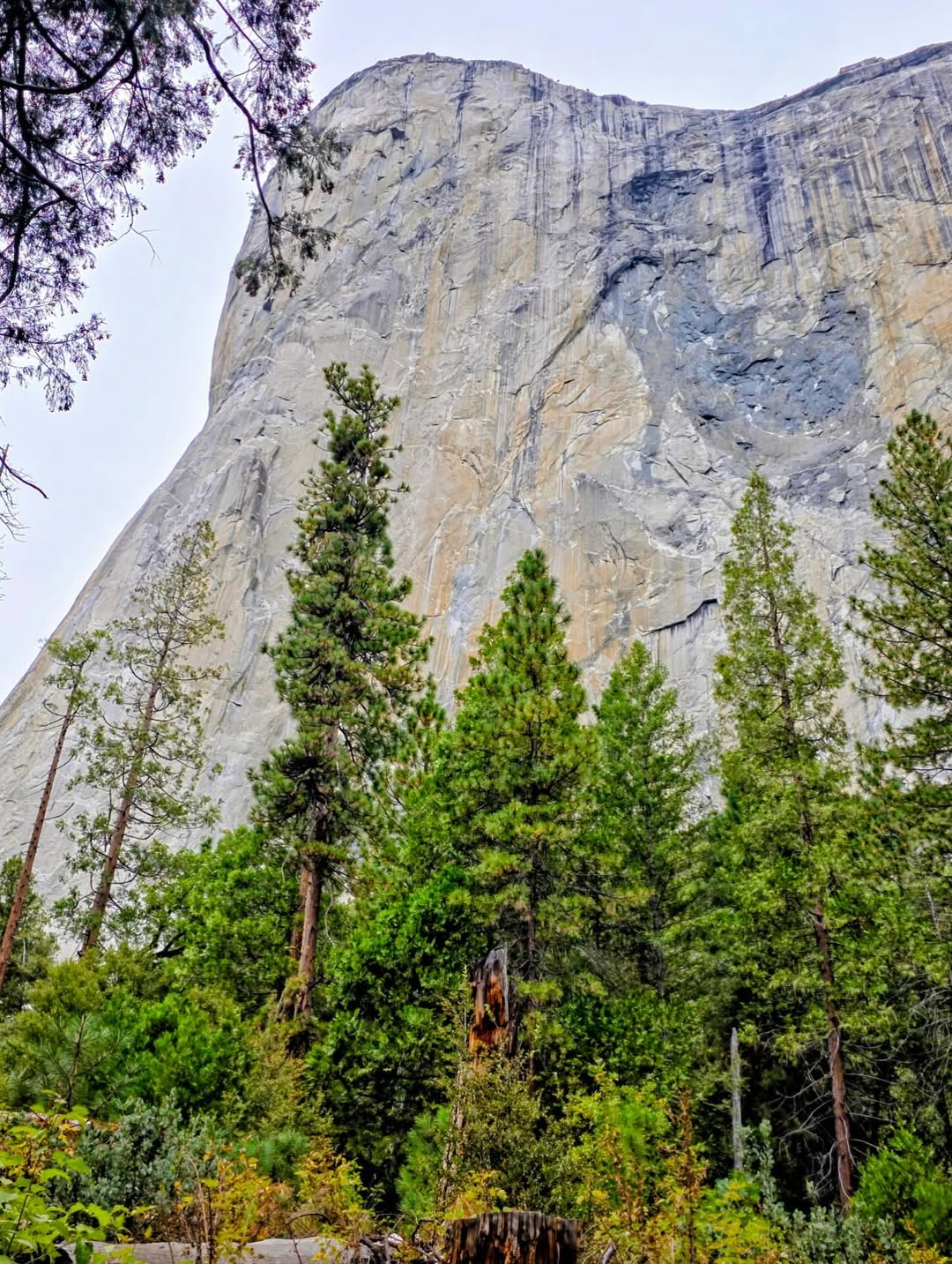 Yosemite national park