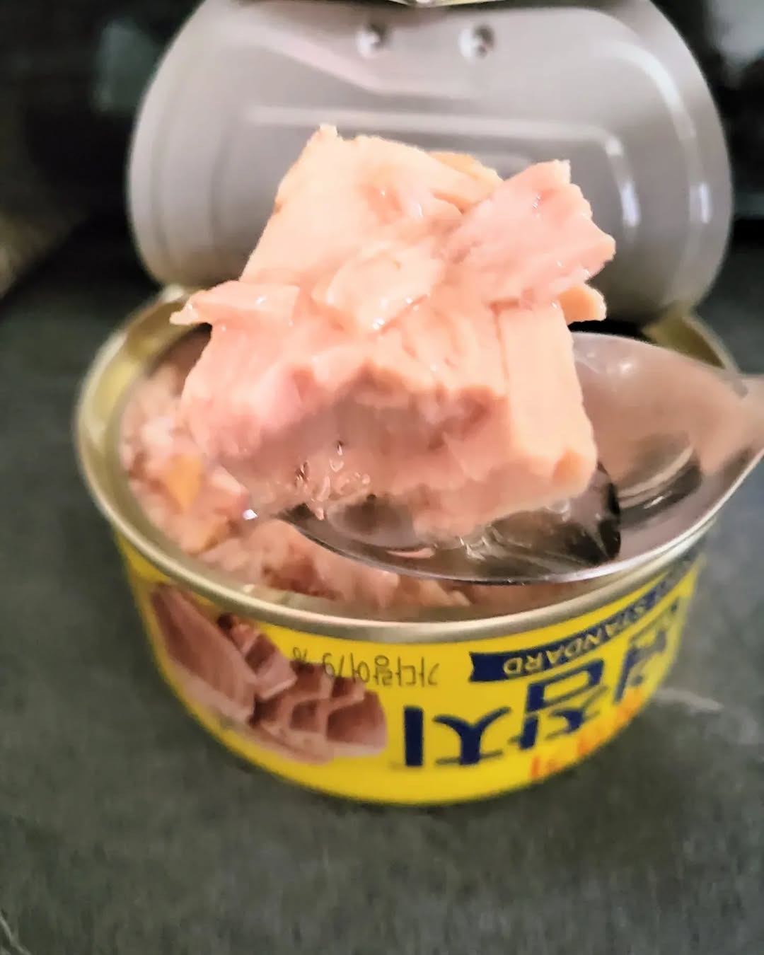 Canned Tuna