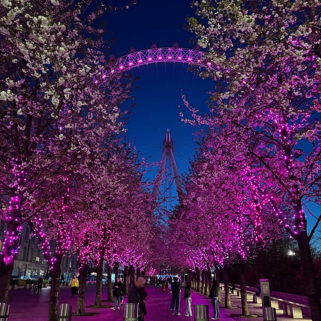 The London Eye
