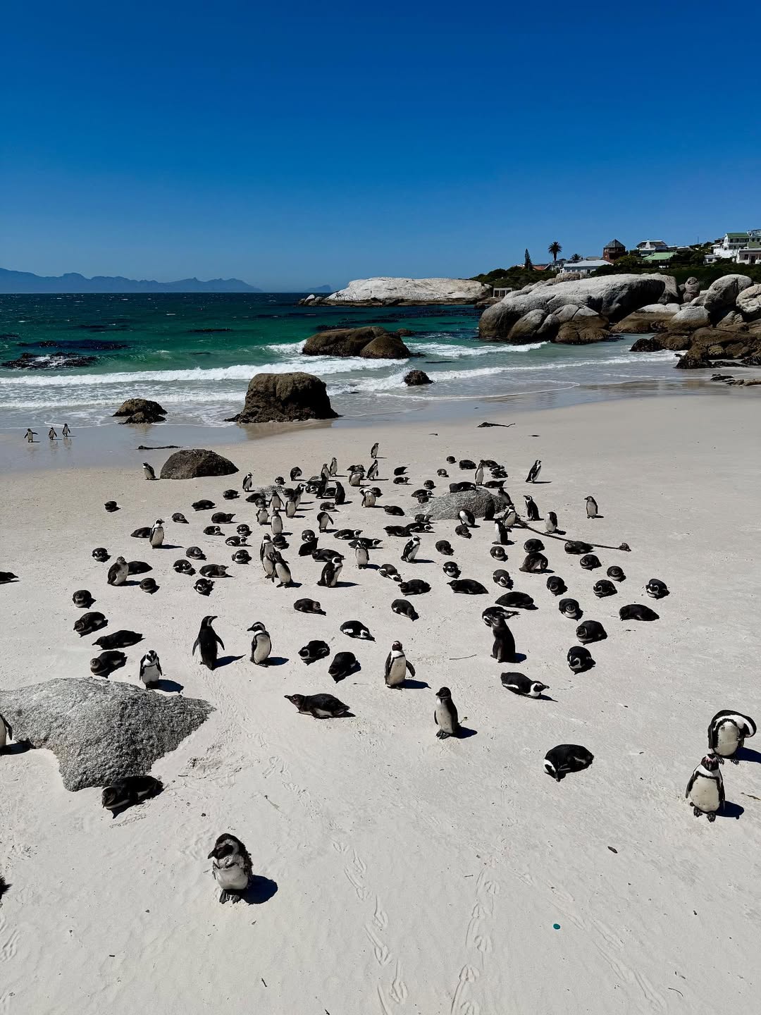 Boulders Beach, Simon’s Town