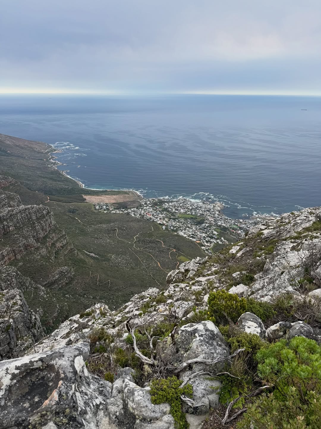 Table Mountain Morning Hike, Cape Town