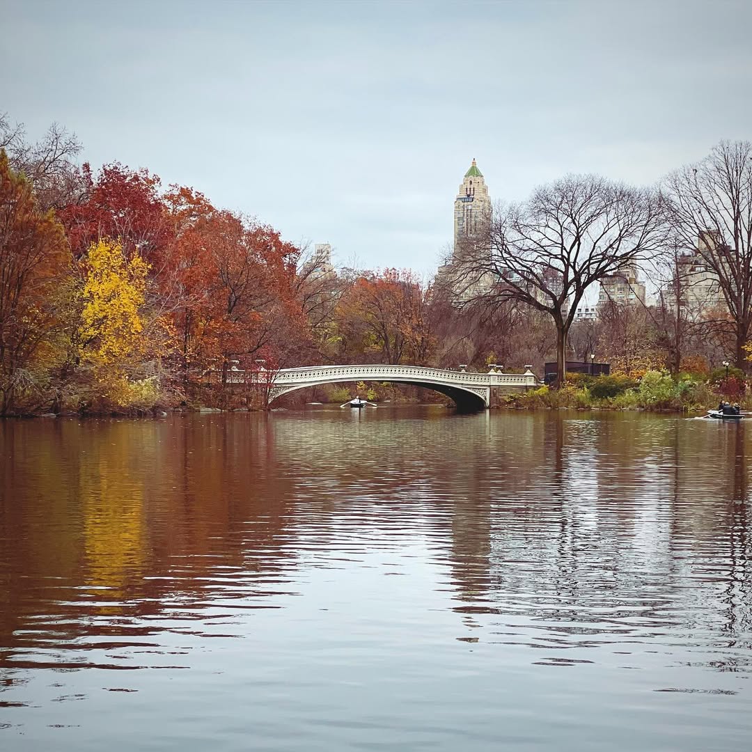 Central Park, NYC in Fall