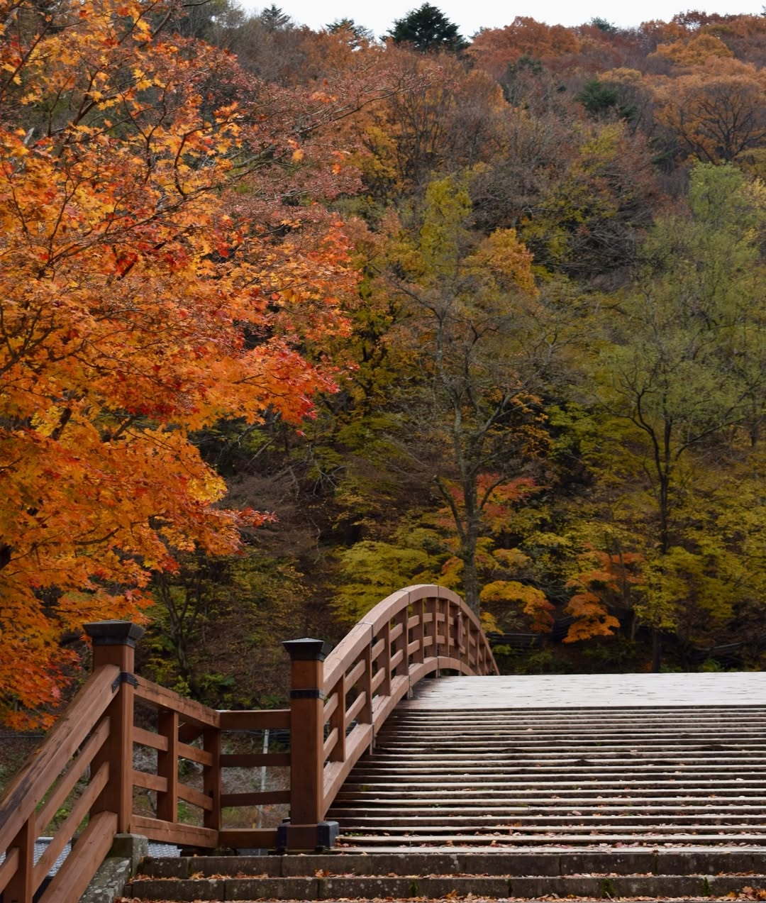 Japan in fall