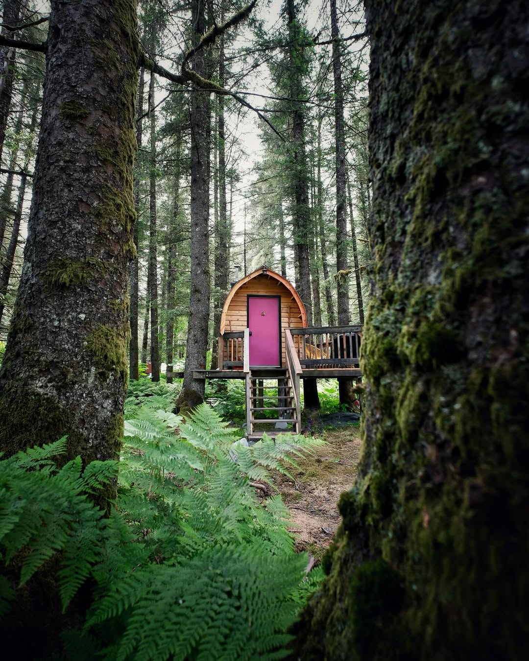 Make them connected to nature first