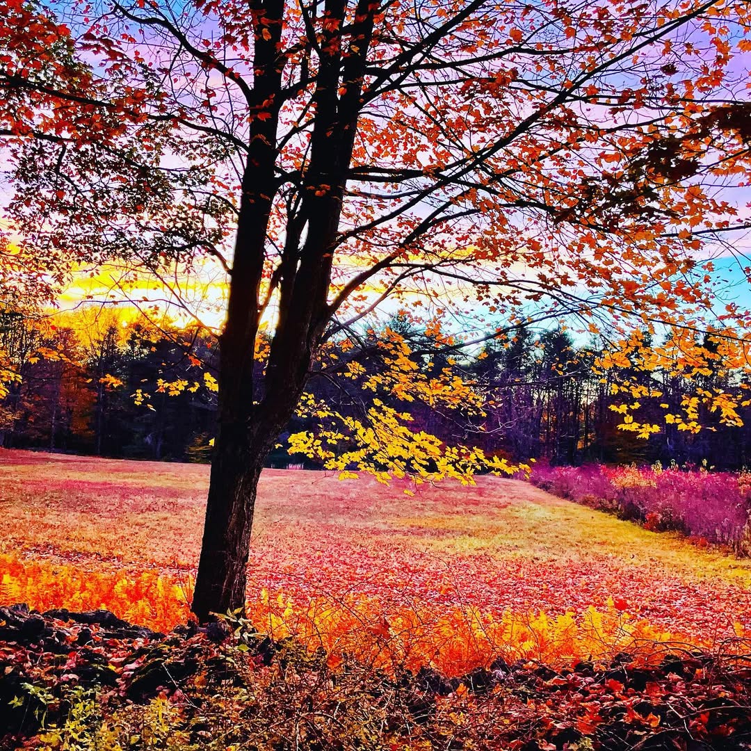 Mount Washington, Berkshires, Massachusetts