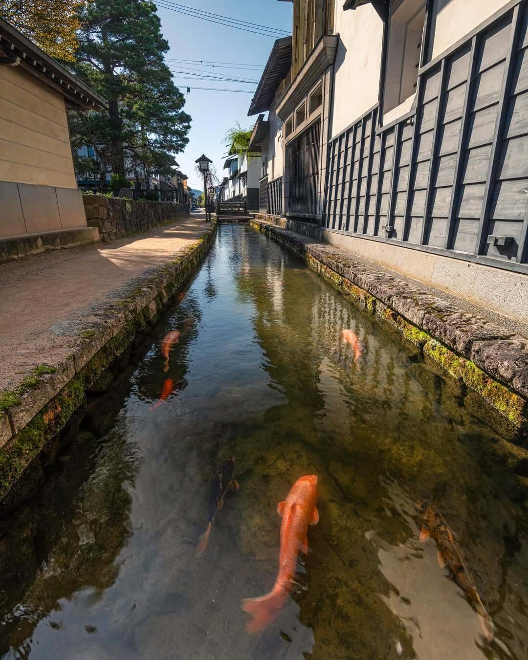 Seto River