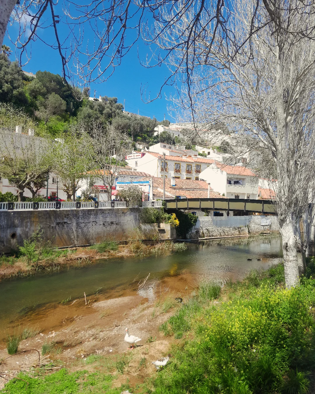 Aljezur