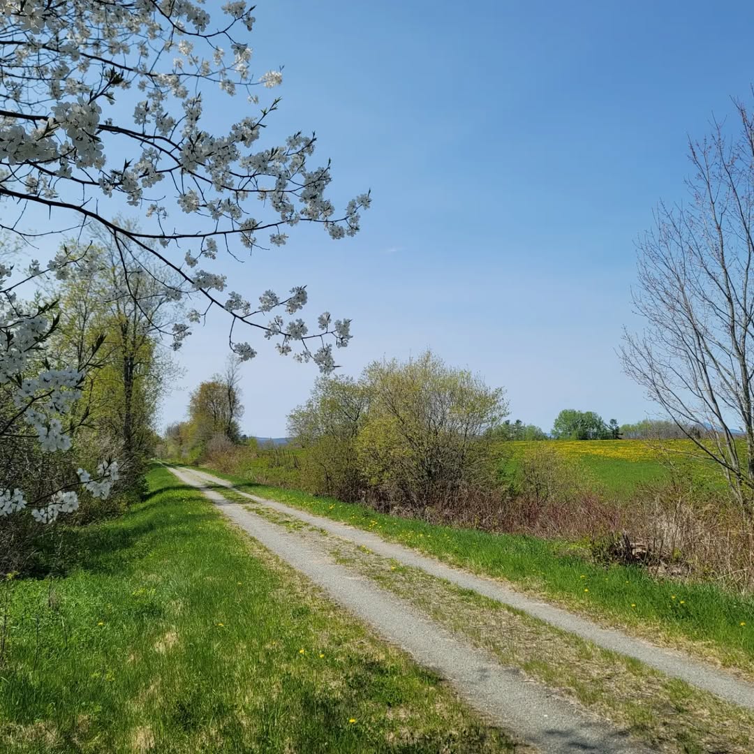 Beebe Spur Rail Trail, Newport
