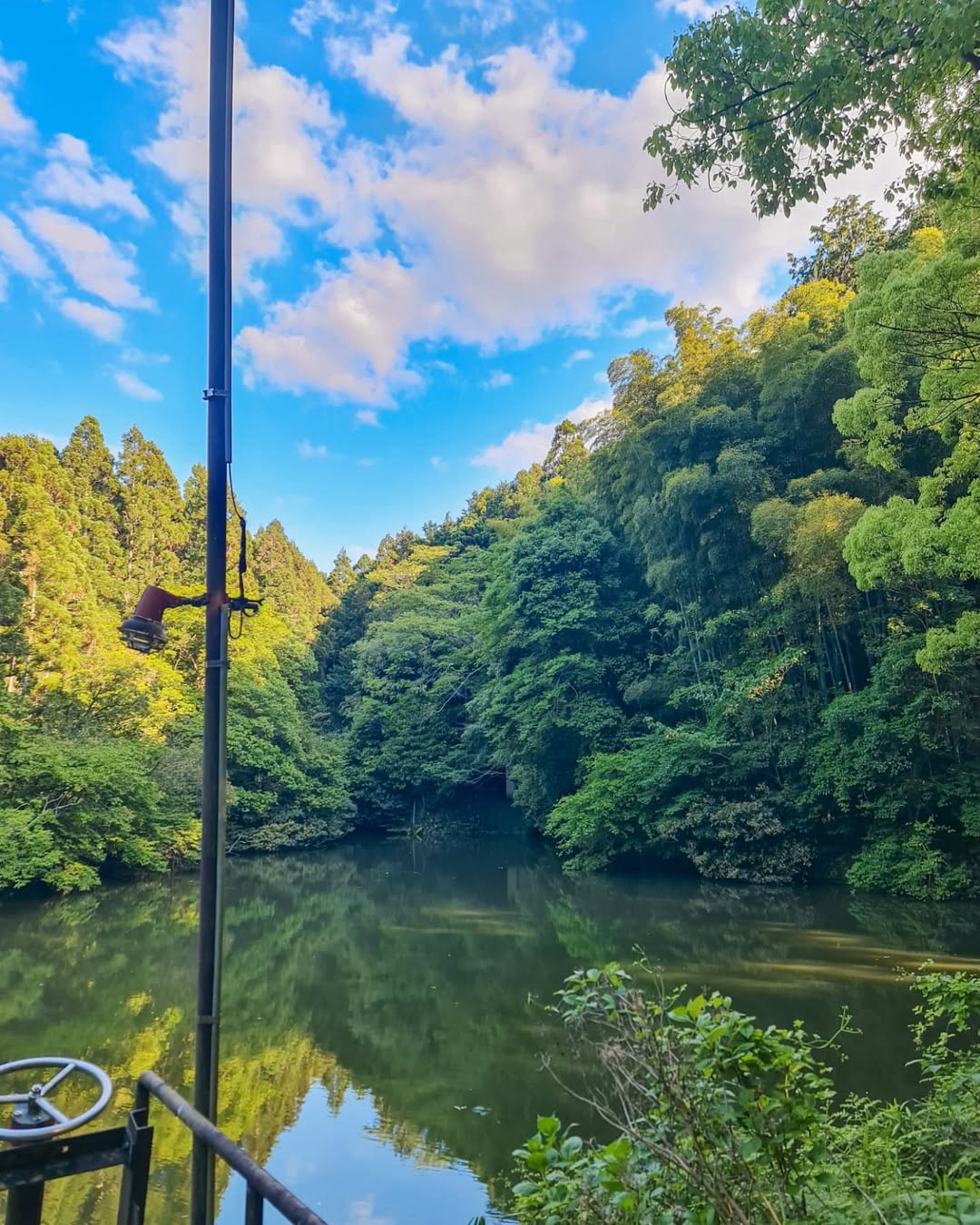 Kyoto in Summer