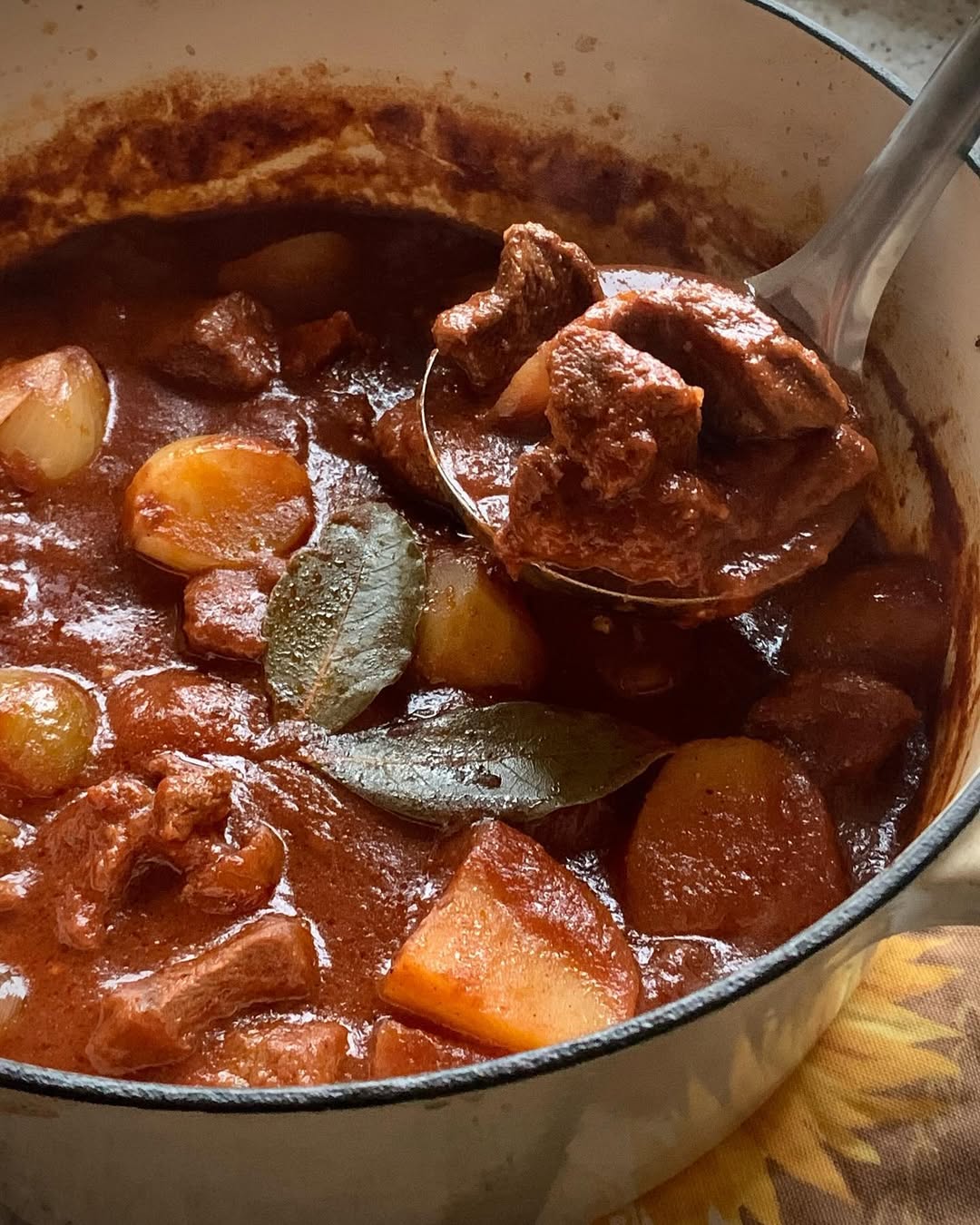 Dutch Oven Beef Stew