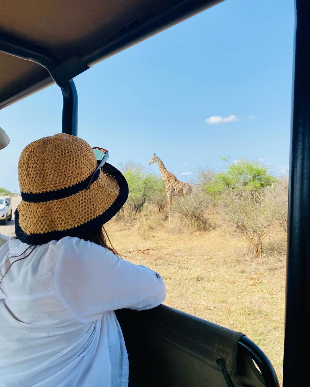 Always wear lightweight long-sleeve shirt on game drives
