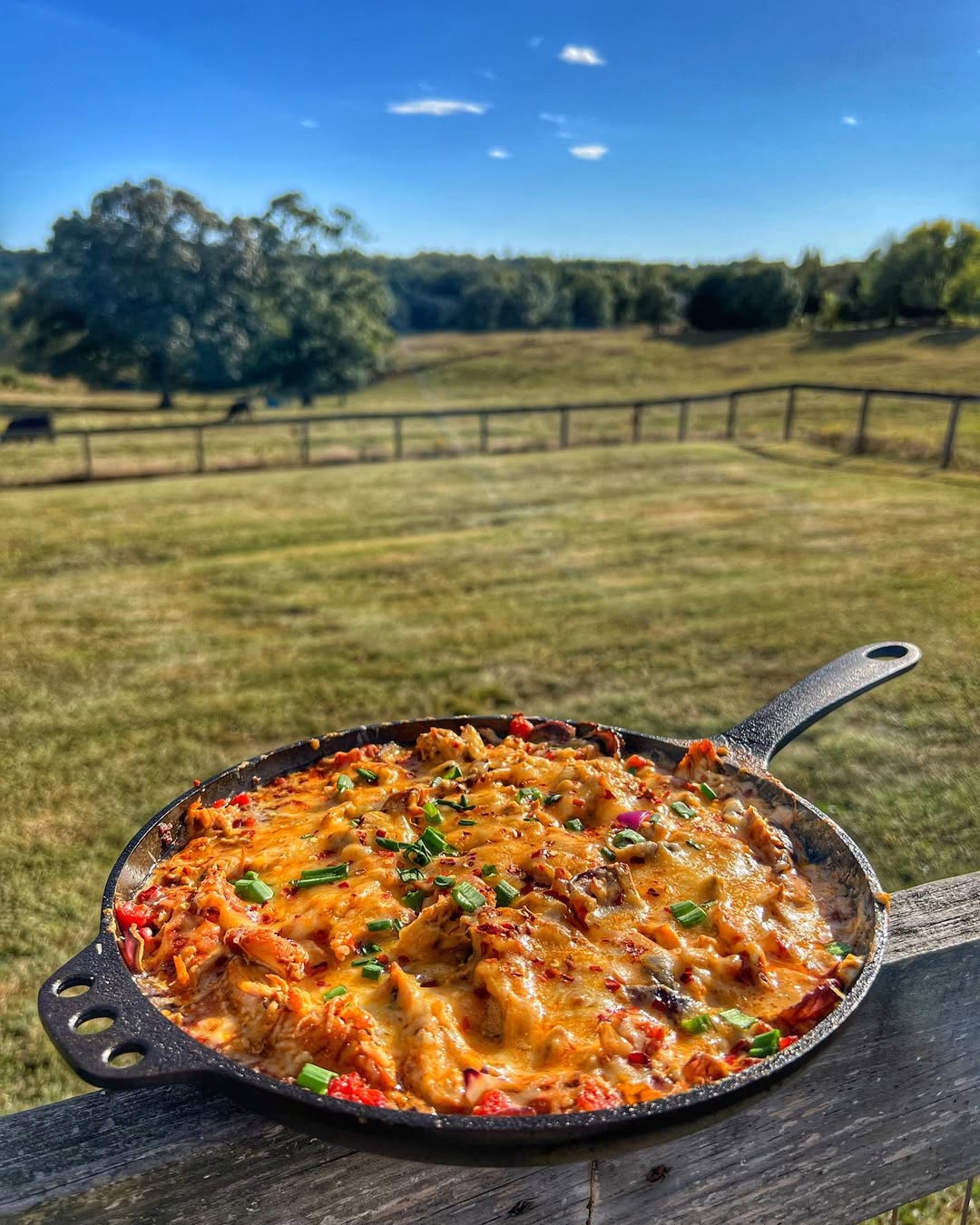 Chicken skillet