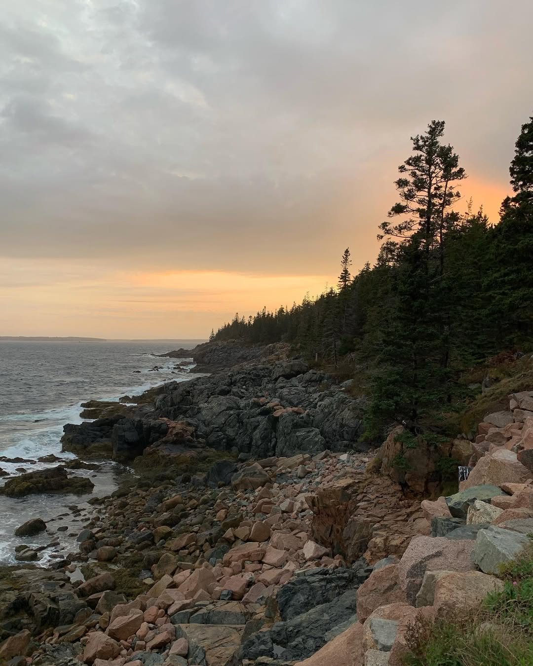 Acadia Shoreline Sunset