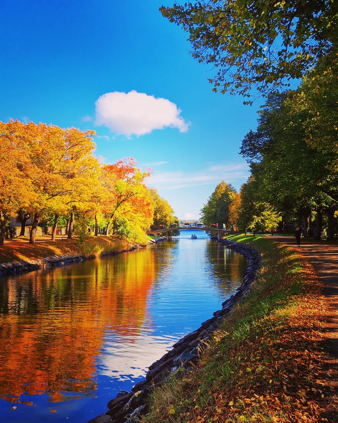 Djurgården in Autumn