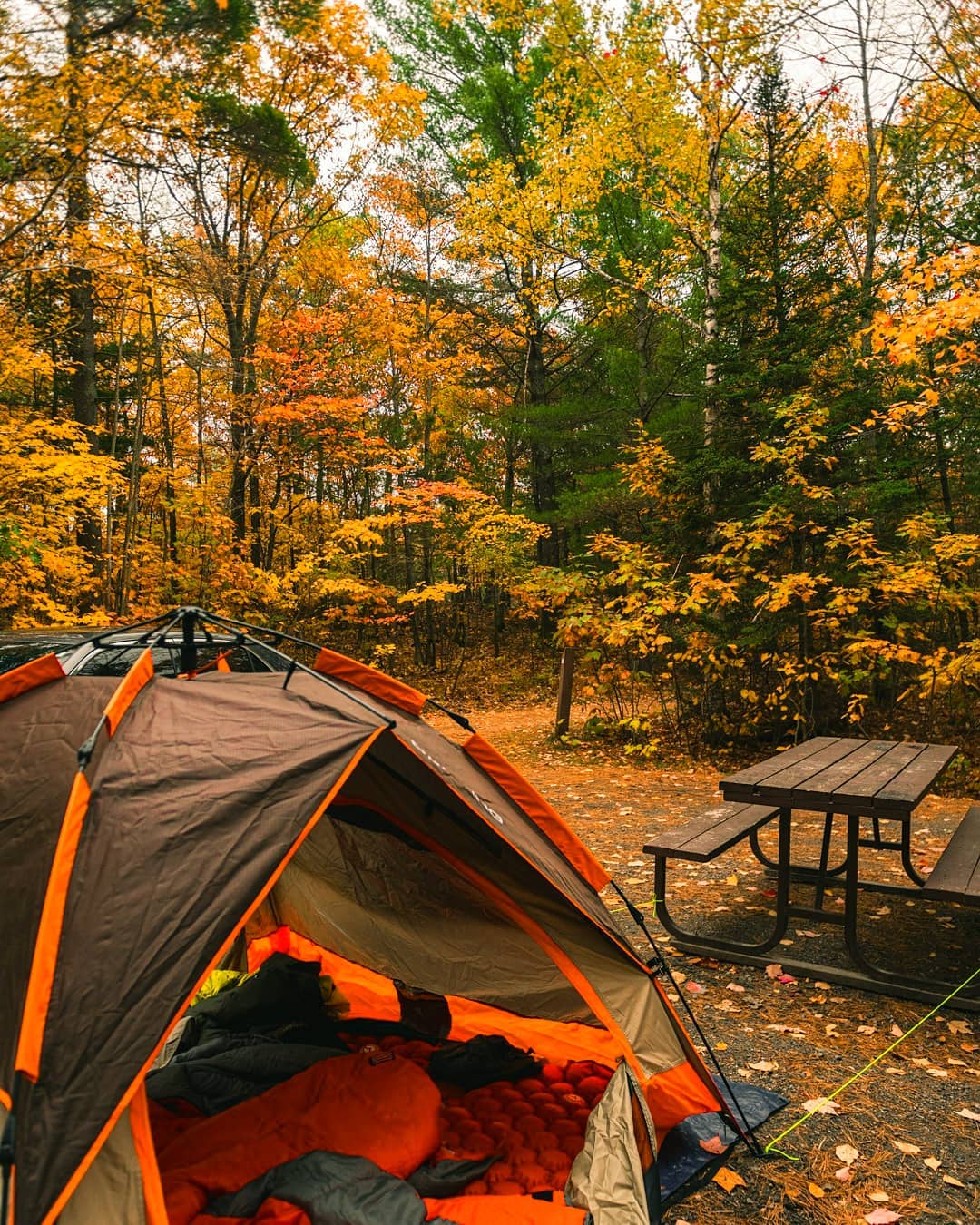 Always check your tent before going on your camping trip