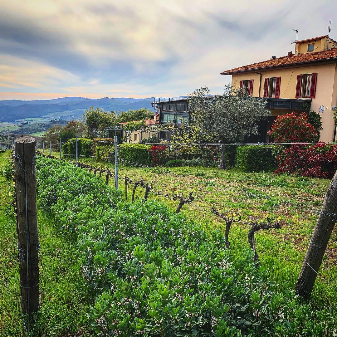 Fattoria Lavacchio, Tuscany