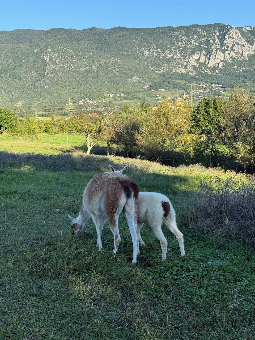 Vipava Valley, Slovenia