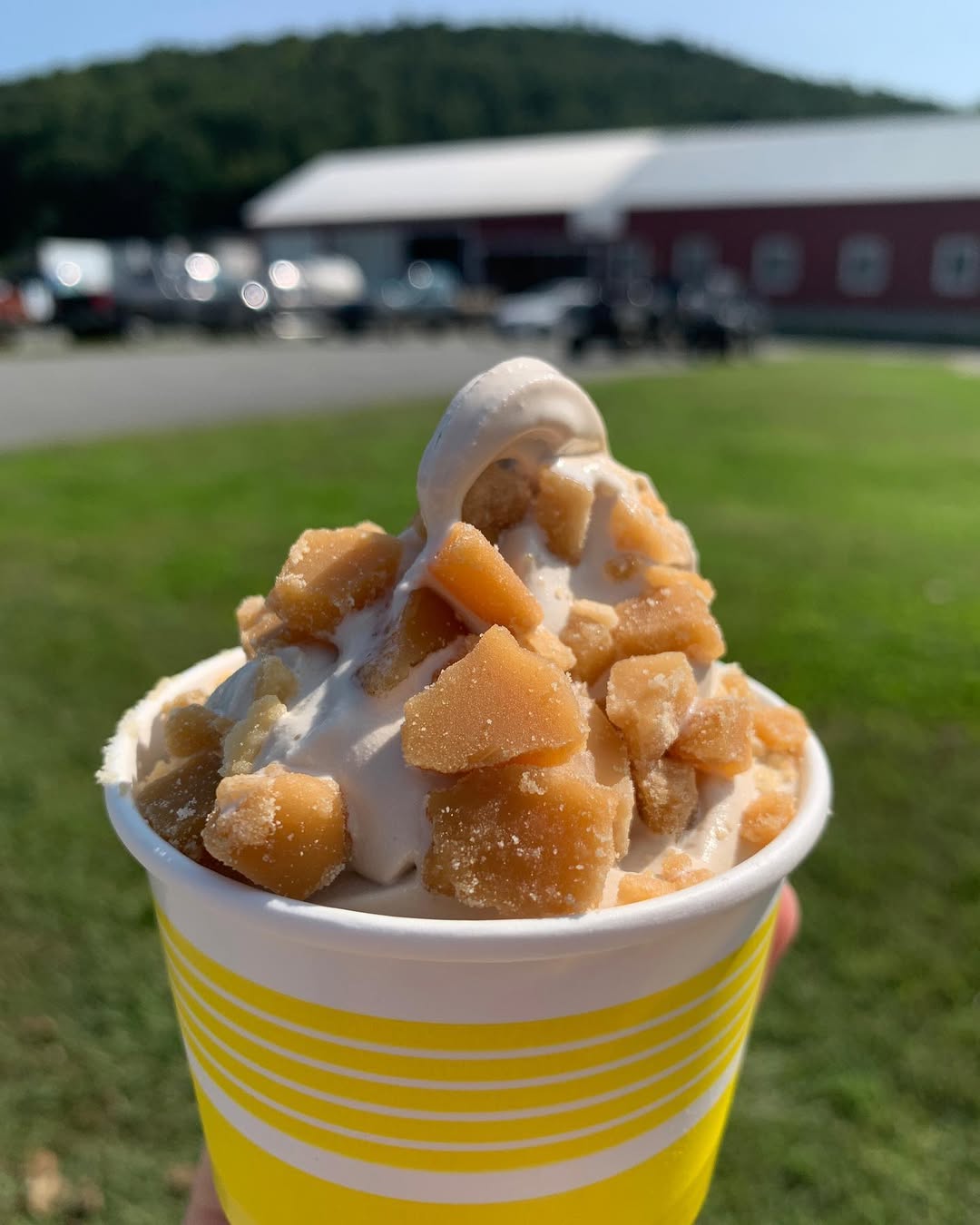 Maple Creemee