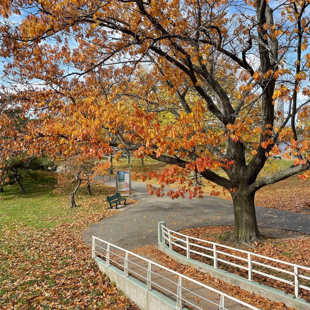 Charles River Esplanade