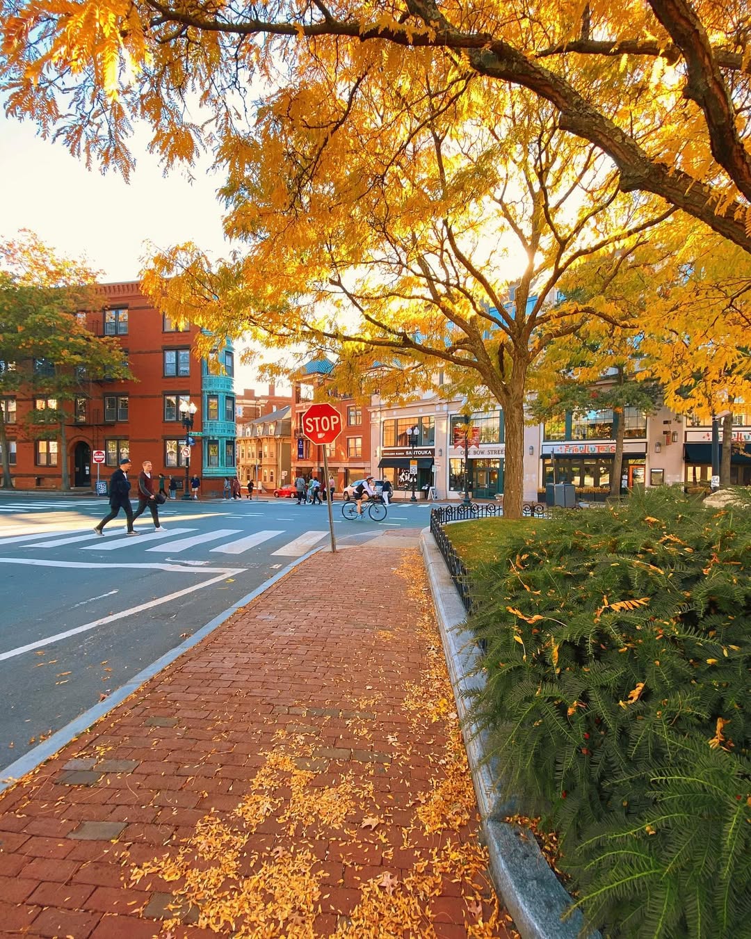 Harvard Square