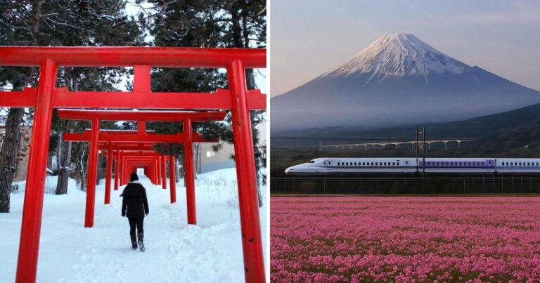 Japan in Winter
