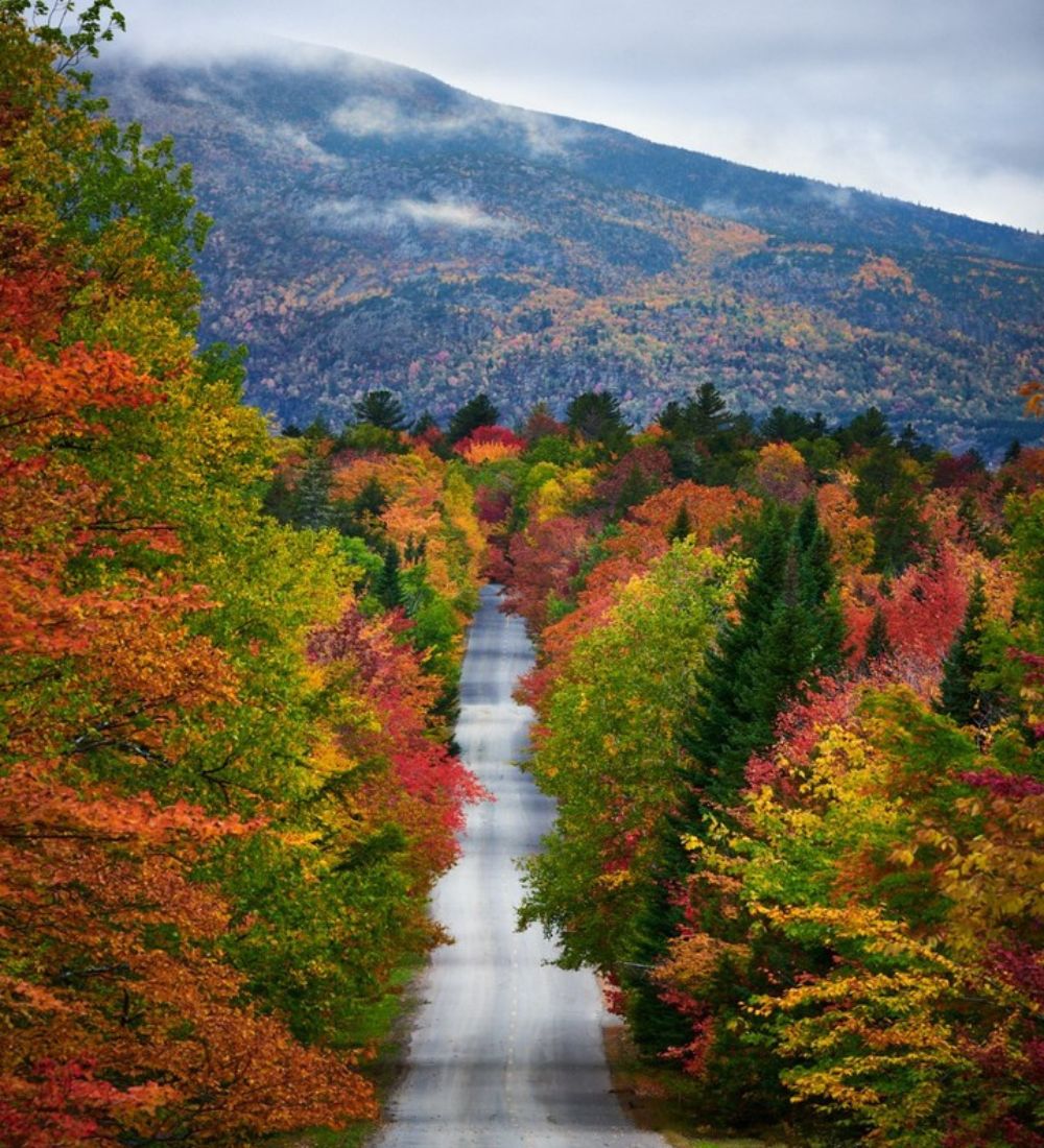Katahdin Woods and Waters National Monument
