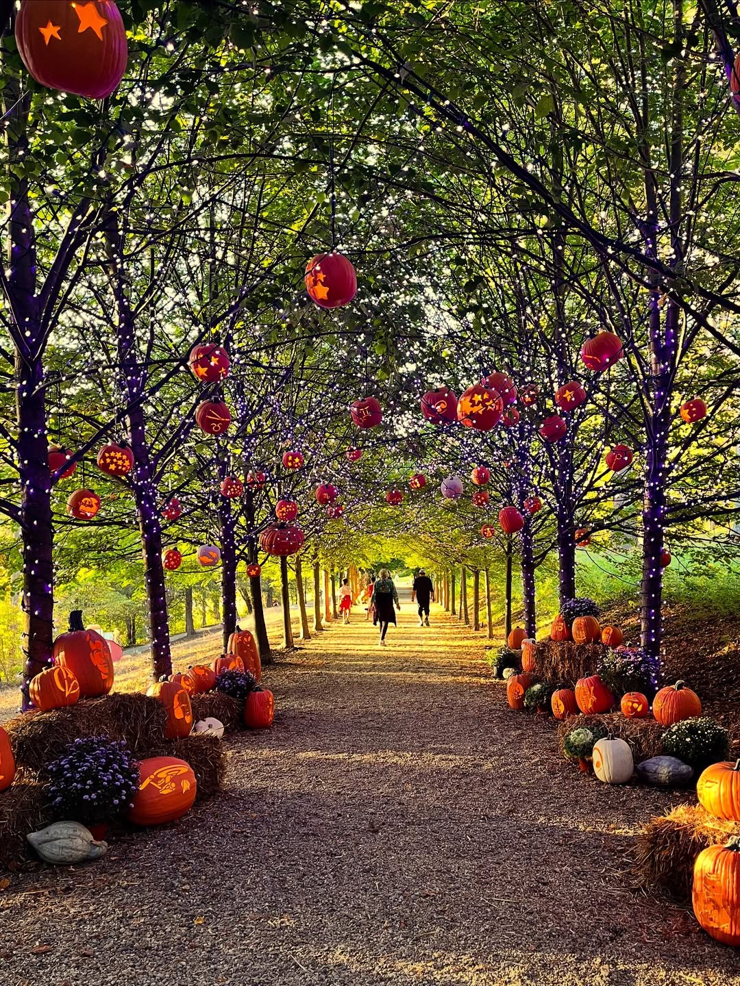 Naumkeag Pumpkin Show in Berkshires, happens from October 1 to 31