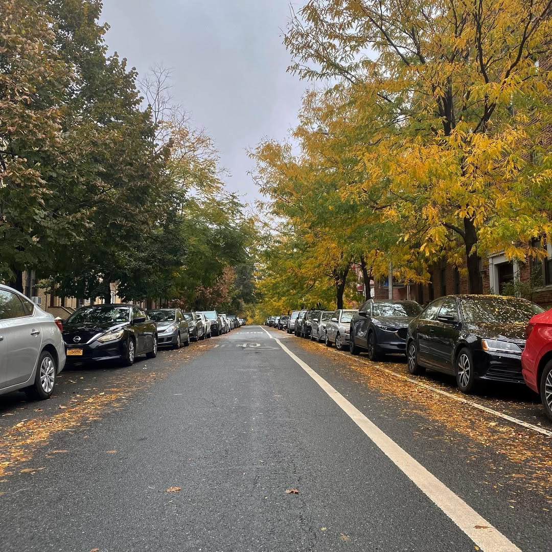 Neighborhood of Astoria in NYC during fall