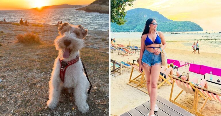 Summer Beach Pictures