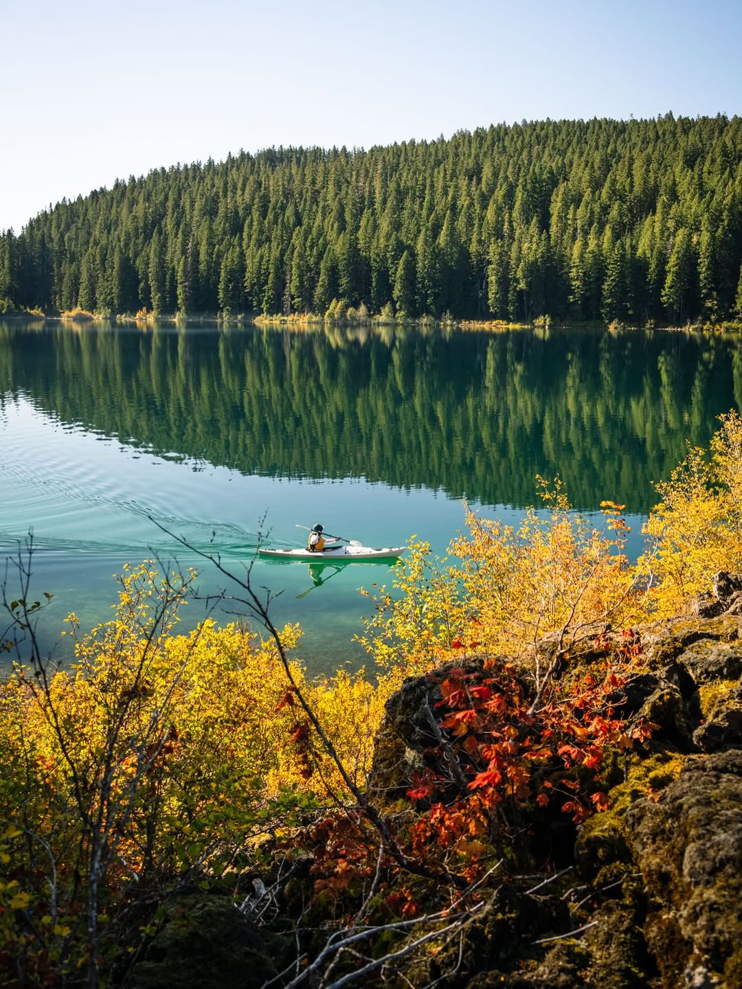 McKenzie River Trail in Oregon during Fall