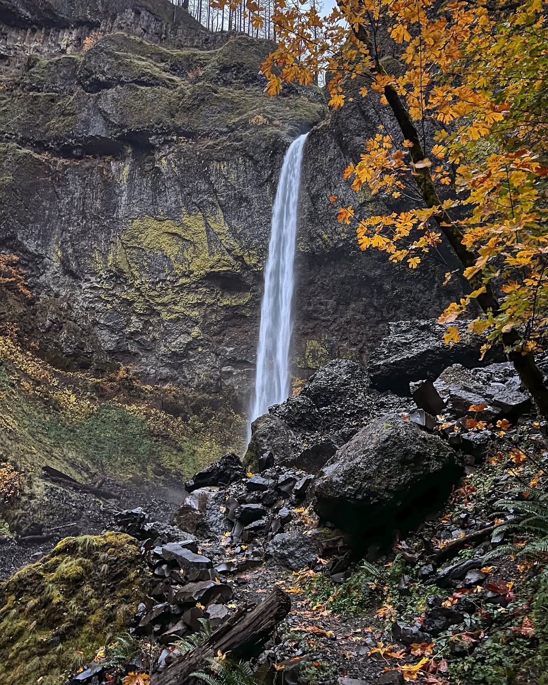 Elowah Falls in Portland during Fall