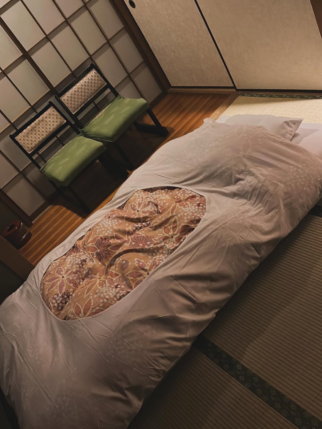 A traditional Ryokan experience