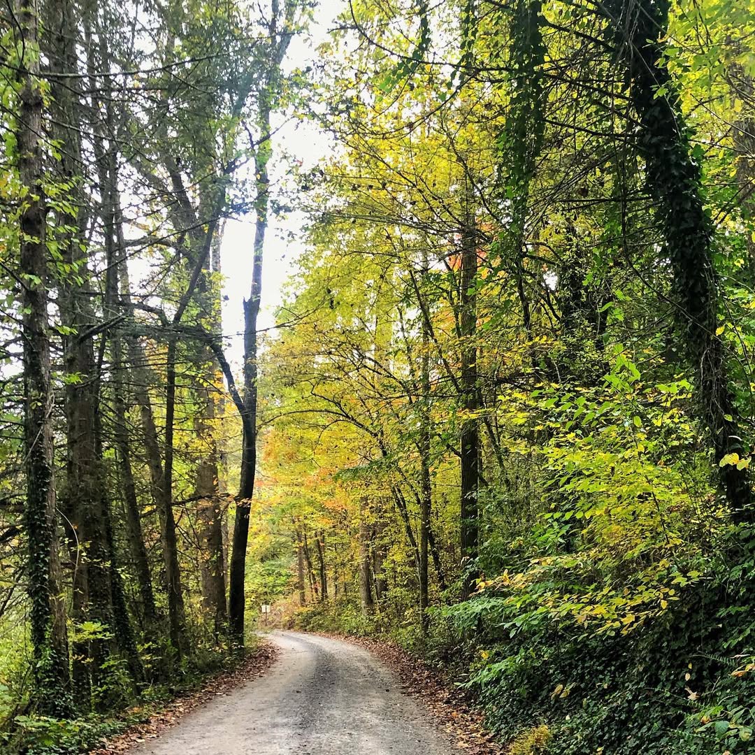 Black Mountain, North Carolina