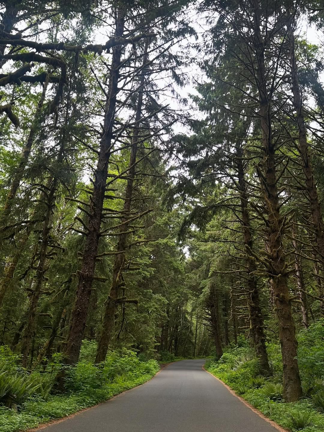 Ecola State Park, Oregon