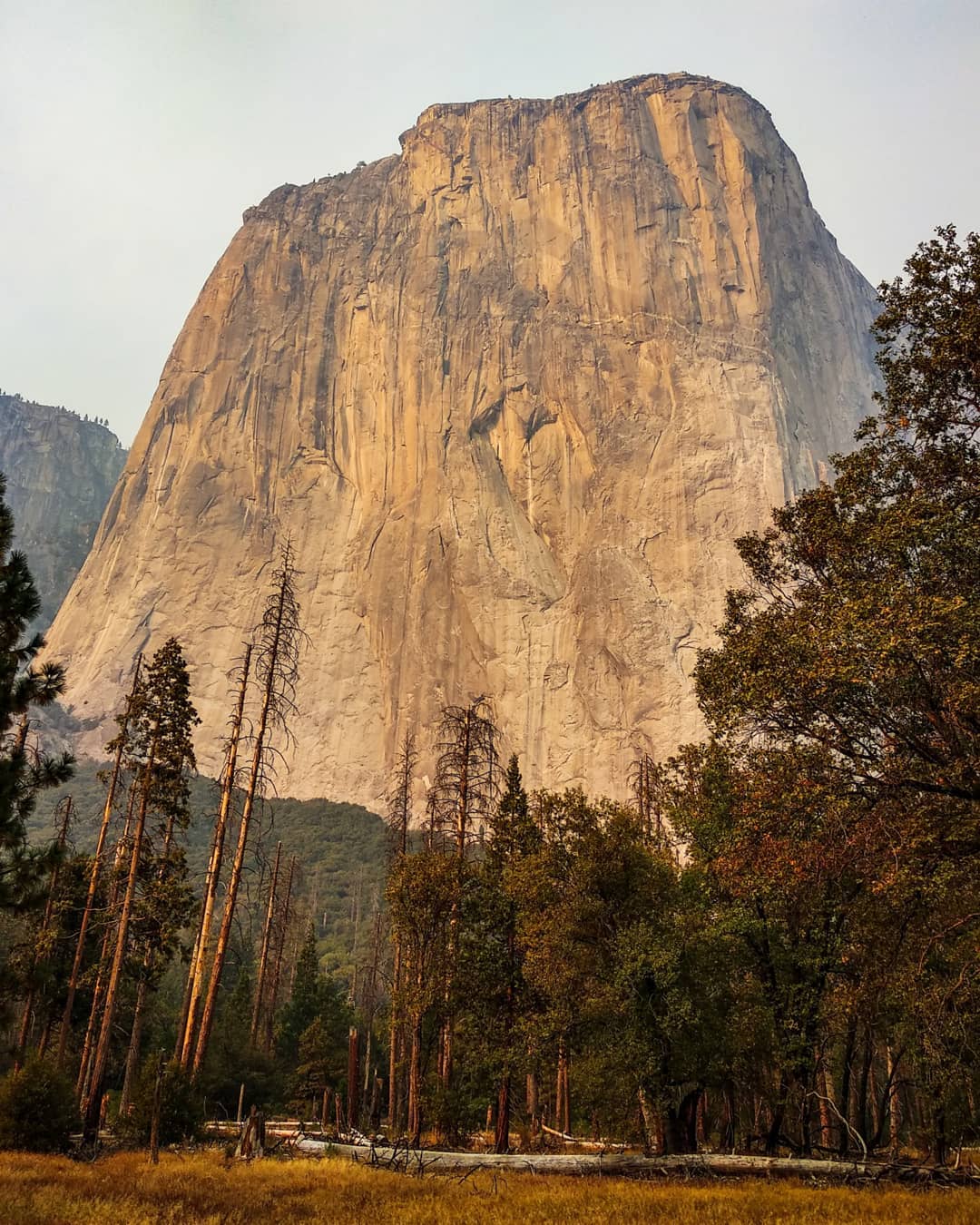 El Capitan Meadow