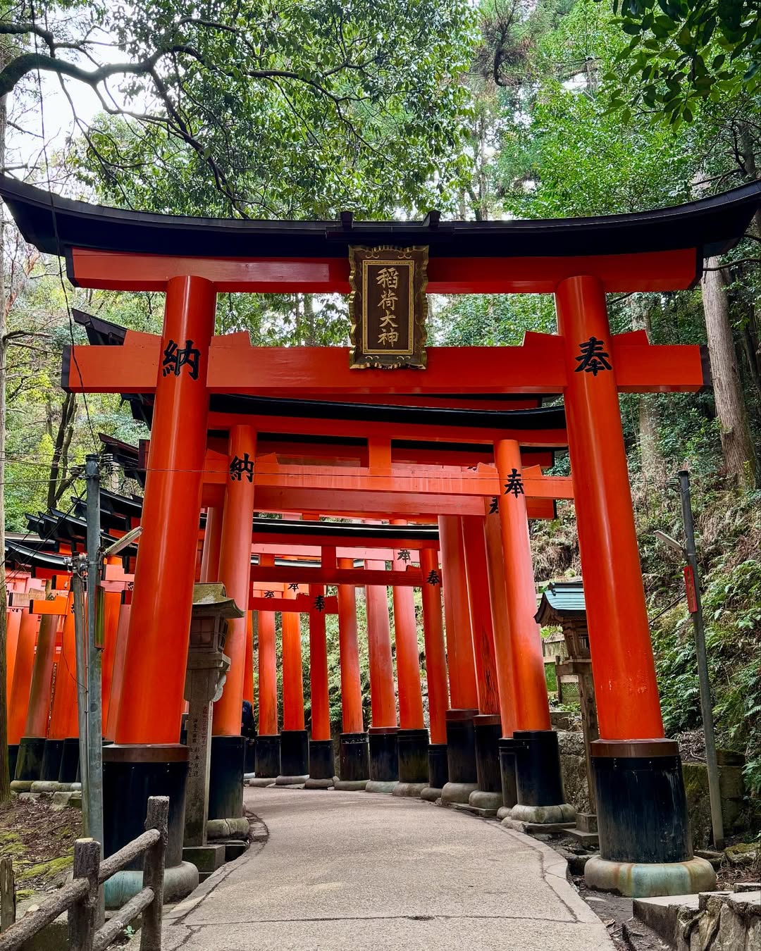 Fushimi Inari Shrine, Kyoto