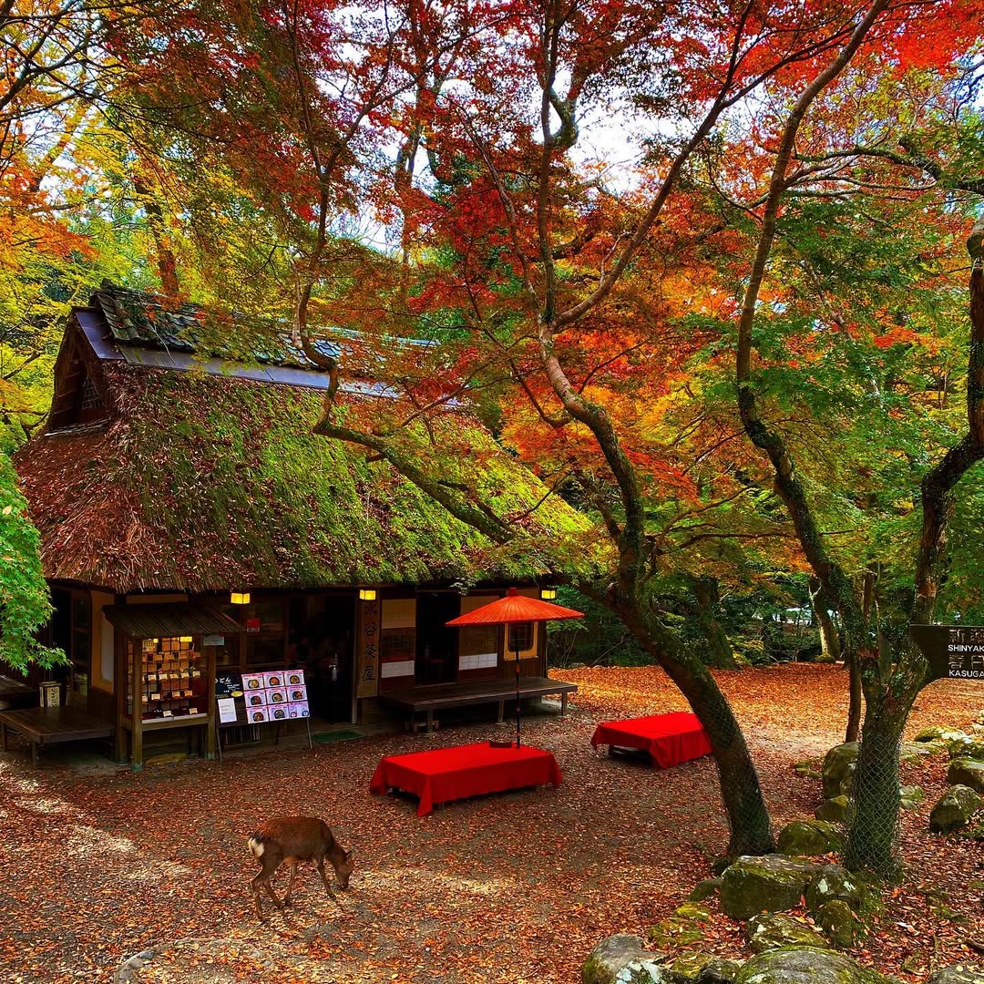 Nara, Japan
