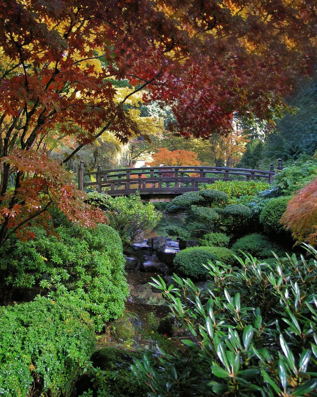 Portland Japanese Garden