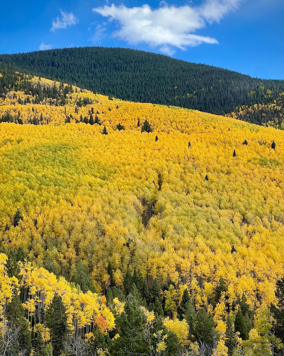 Sangre de Cristo mountains near Santa Fe during Fall
