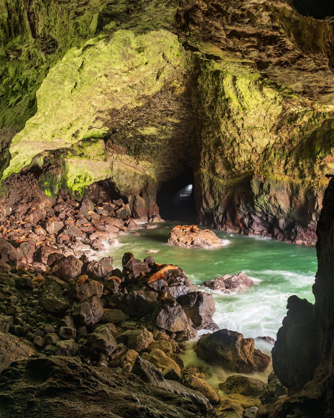 Sea Lion Cave, Oregon - America's largest sea cave