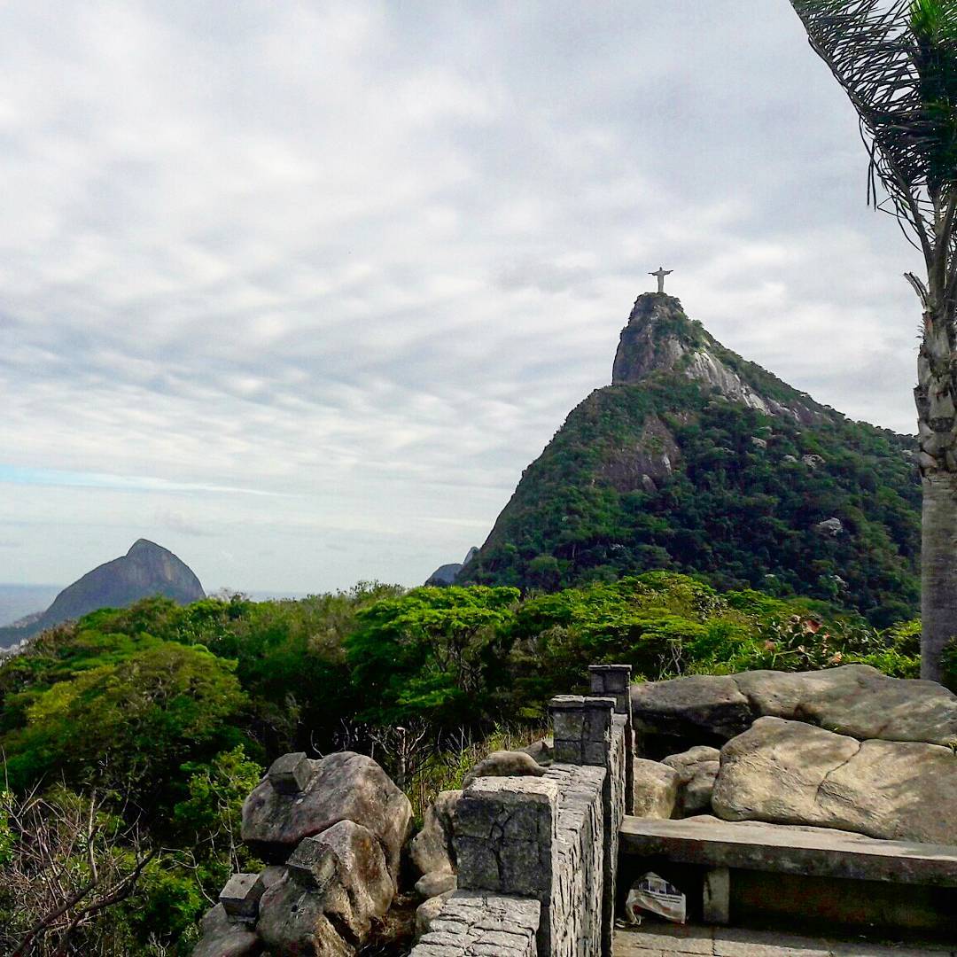 Tijuca forest, Rio